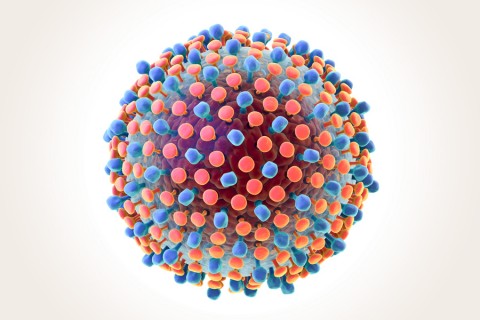 Informationen zum Corona-Virus